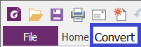 Step_3_-_Convert.png